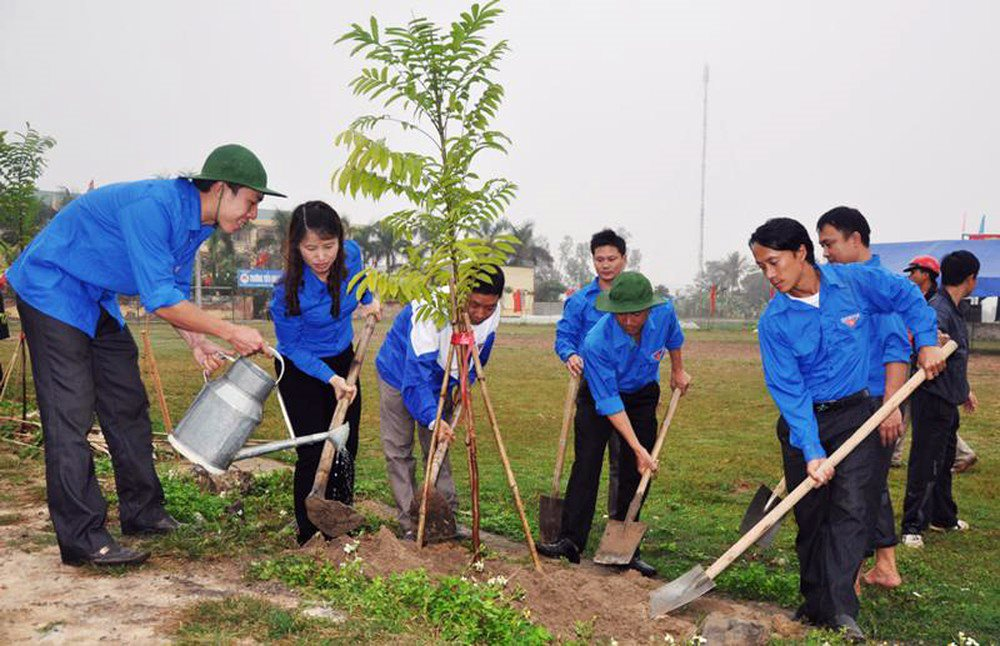 Tại sao nên trồng cây xanh tại Tây Ninh?