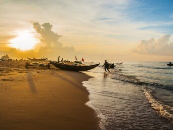 Top Lịch Trình Du Lịch Hồ Tràm 1 Ngày Được Yêu Thích Nhất 2025