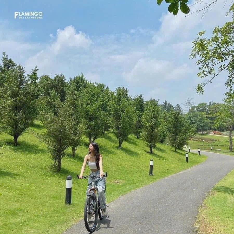 Hướng Dẫn Đặt Tour Du Lịch 3 Ngày 2 Đêm Tại Flamingo Đại Lải