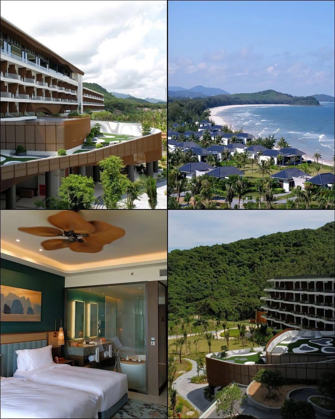 484531190 1188612139931543 8150565058008582073 n