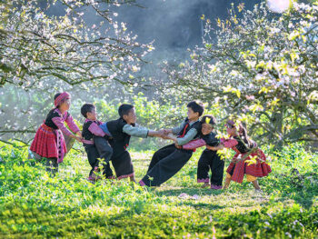 Kinh Nghiệm Chinh Phục Mộc Châu 3 Ngày 2 Đêm Xuất Phát Từ TP. HCM