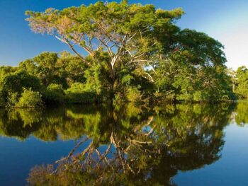 Lịch Trình Du Lịch Cần Giờ 1 Ngày Được Yêu Thích Nhất