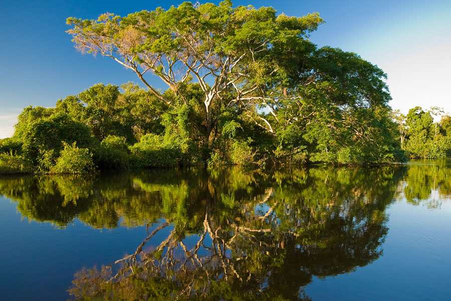 Lịch Trình Du Lịch Cần Giờ 1 Ngày Được Yêu Thích Nhất