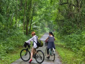Thông Tin Giá Vé Mới Nhất Các Điểm Tham Quan Nam Cát Tiên