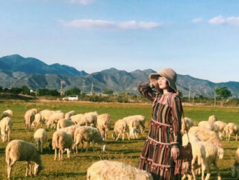 Cẩm Nang Đặt Vé Tham Quan Phan Rang Mới Nhất 2026