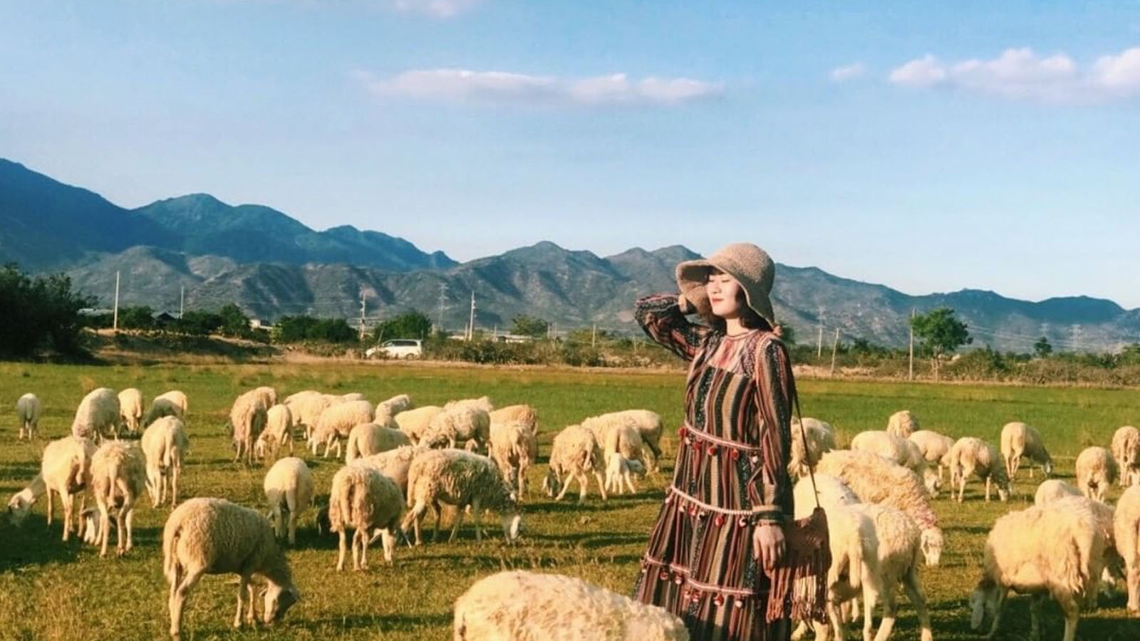 Cẩm Nang Đặt Vé Tham Quan Phan Rang Mới Nhất 2026