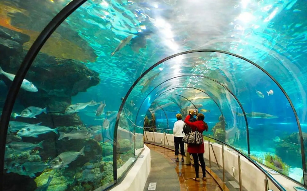 Gợi Ý Các Trải Nghiệm Nổi Bật Mà Bạn Nhất Định Phải Trải Nghiệm Khi Du Lịch Suối Tiên
