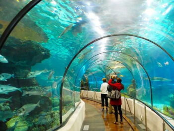 Du Lịch Suối Tiên 2026 Giá Vé Tham Quan Như Thế Nào?